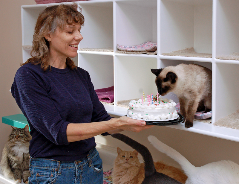 a woman presents a cat with a birthday cake