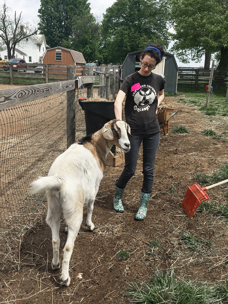 a woman approaches a goat on a farm
