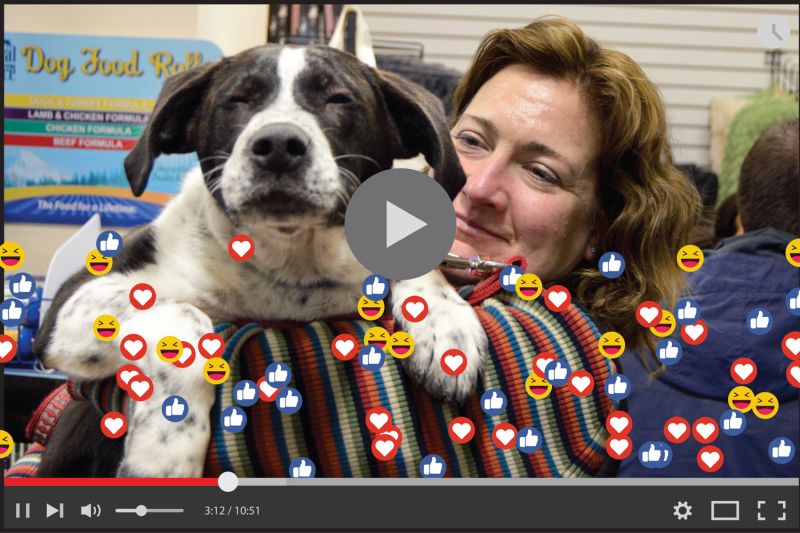 video player with social media icons overlaid on an image of a woman holding a dog