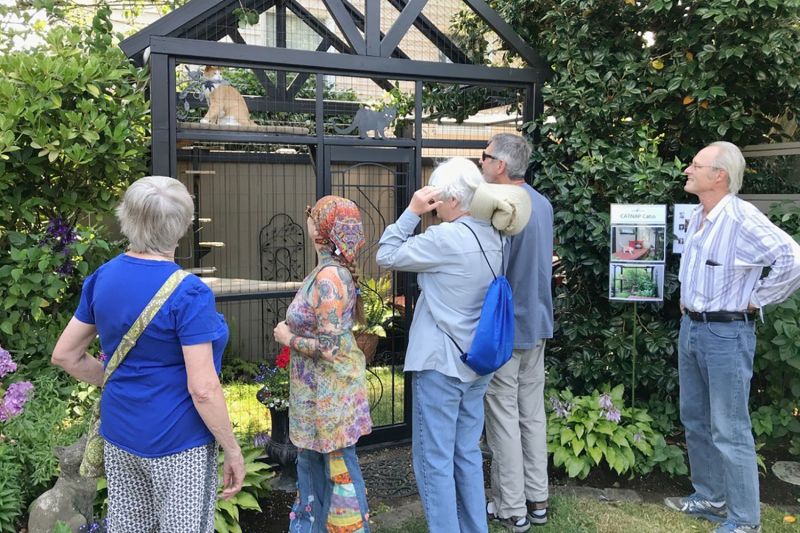 Photo of a tour group looking at a cat in a catio.