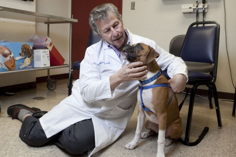 Photo of Dr. Dodman examining a dog in his office.