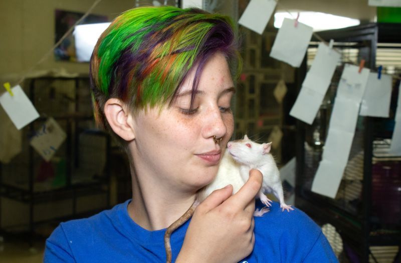 A shelter worker with a cute rat on her shoulder.