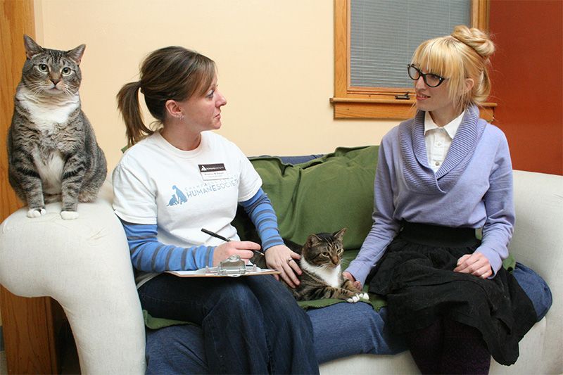 A shelter worker meets with a woman to potentially adopt a cat