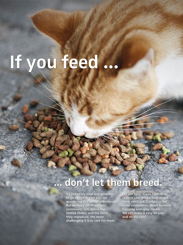 If you feed...don’t let them breed