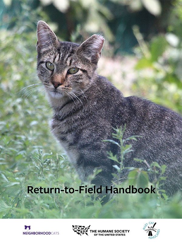 Return to Field Handbook