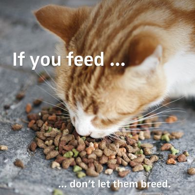 If you feed, don't let them breed