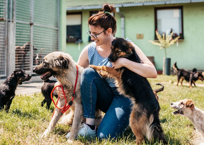Woman outside with dogs at a shelter