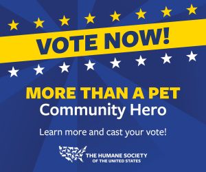 vote now for more than a pet community heroes