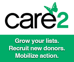 grow your lists and recruit new donors with care 2