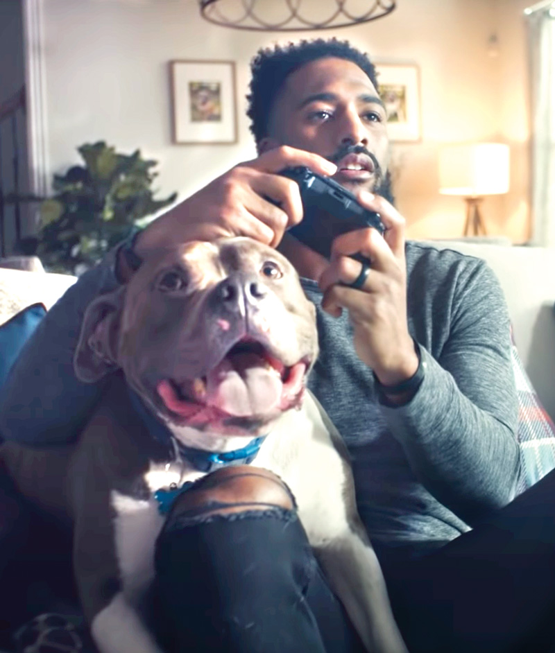 a man plays video games with his dog on his lap