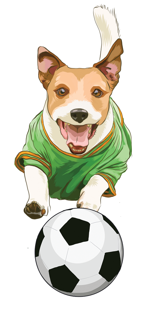 illustration of a dog in a sports jersey chasing a soccer ball