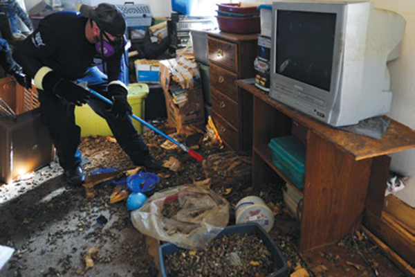 a man in PPE looks for an animal amidst a filthy hoarded room