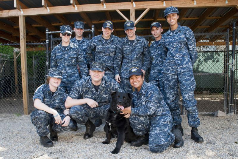 a group of men and women in military fatigues posing with a dog