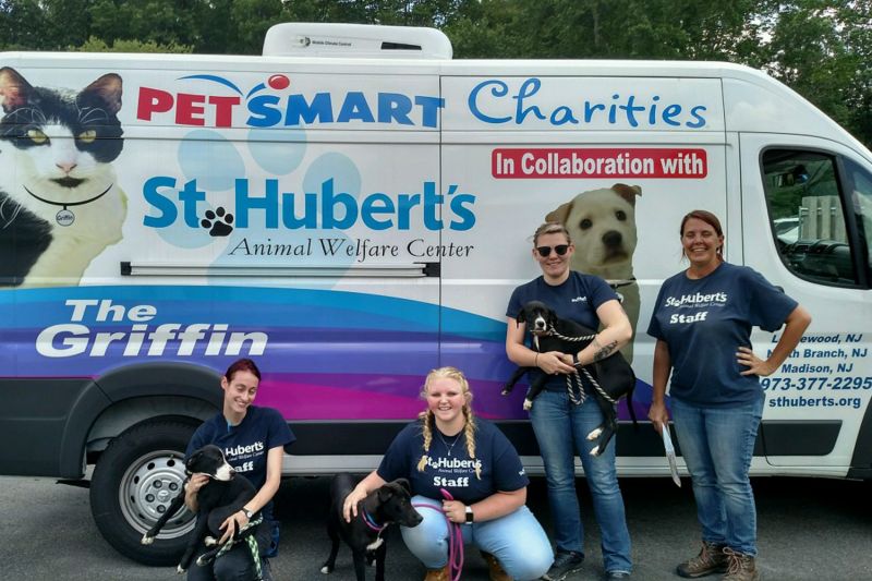 four women pose with dogs in front of a van