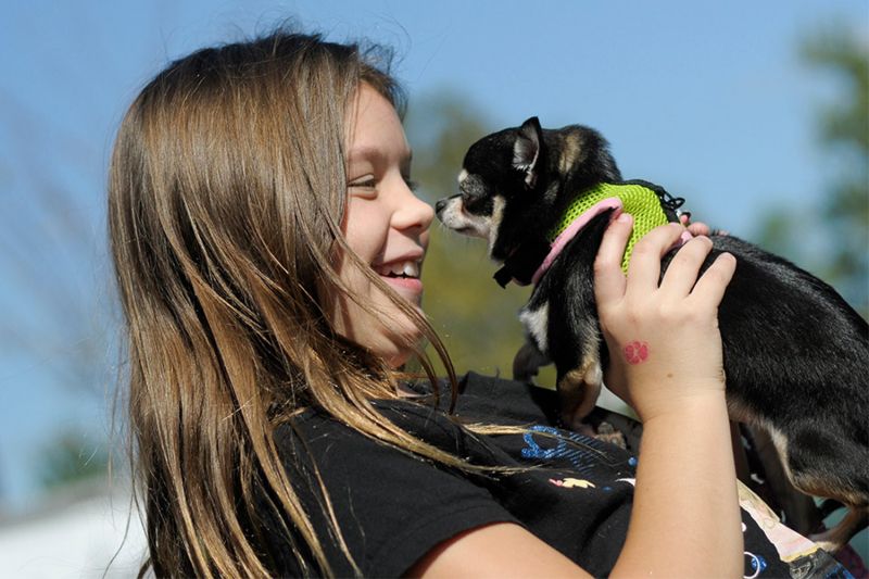 a girl holding up a small dog close to her face