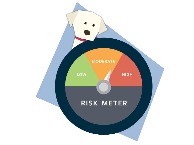 illustration of a dog risk meter