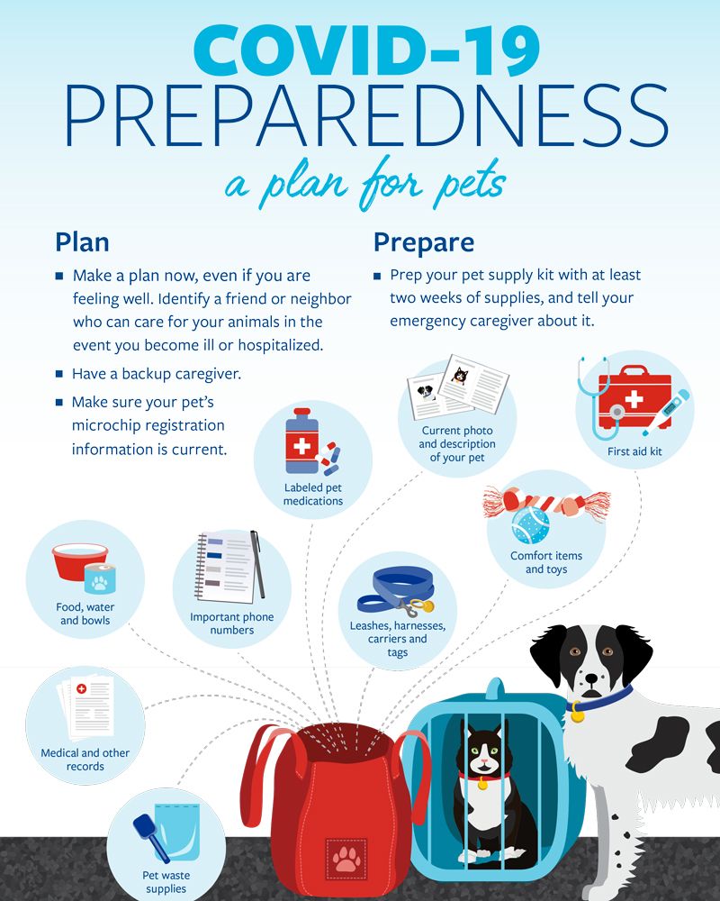 COVID-19 preparedness: A plan for pets