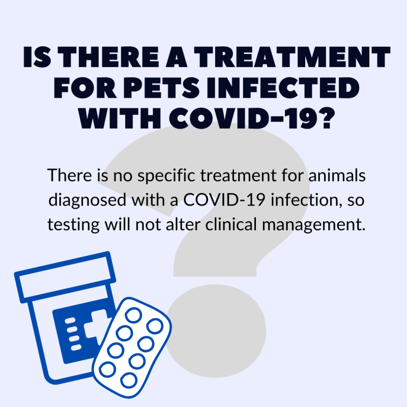 Is there a treatment for pets infected with COVID-19?