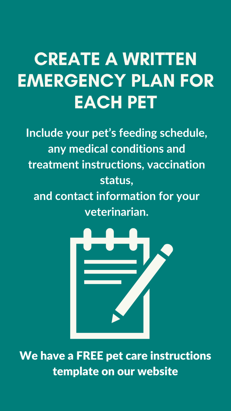 create a written emergency plan for each pet