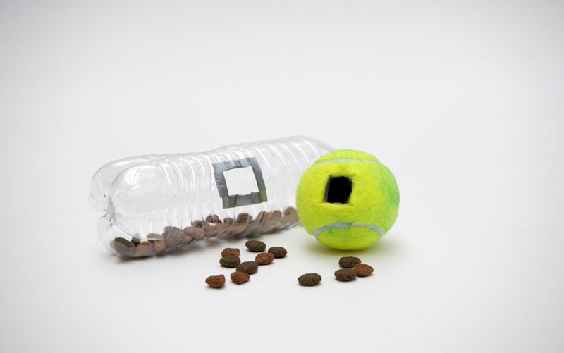 a water bottle and tennis ball with holes cut in the side and filled with treats