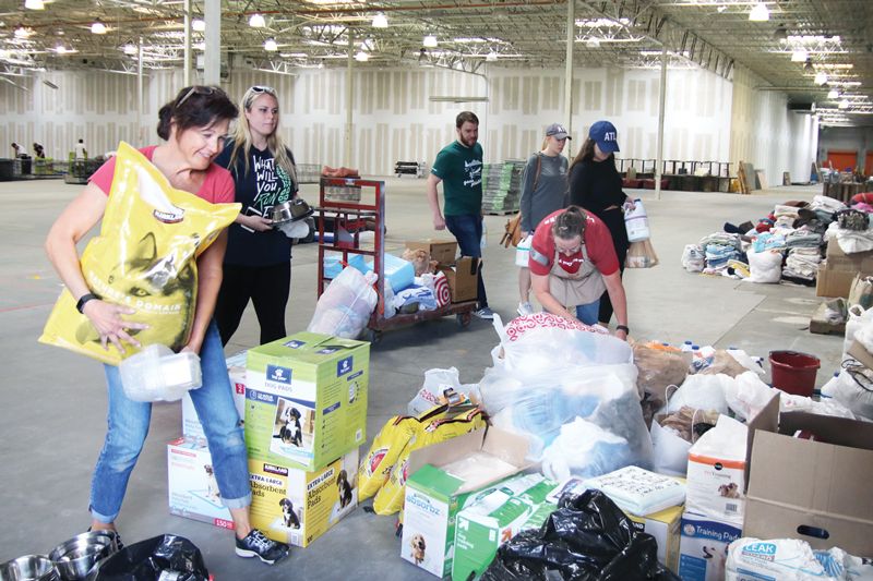 people organizing pet food and other items in a large warehouse