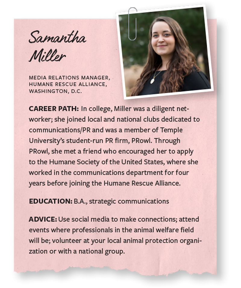 Career profile Samantha Miller