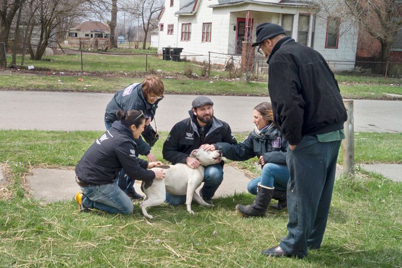 a group of people gathered around a dog