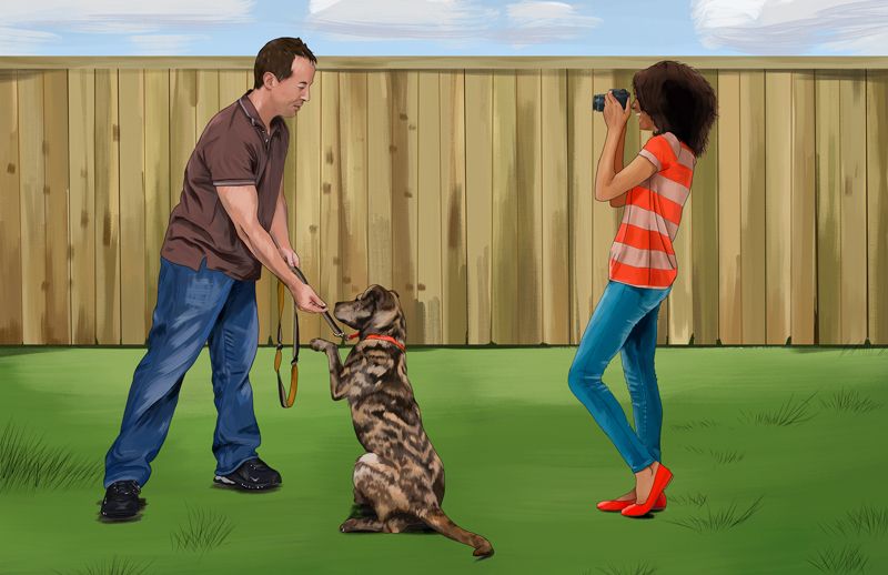 illustration of a woman filming a man training a dog
