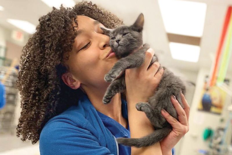 a woman holds up and kisses a grey kitten