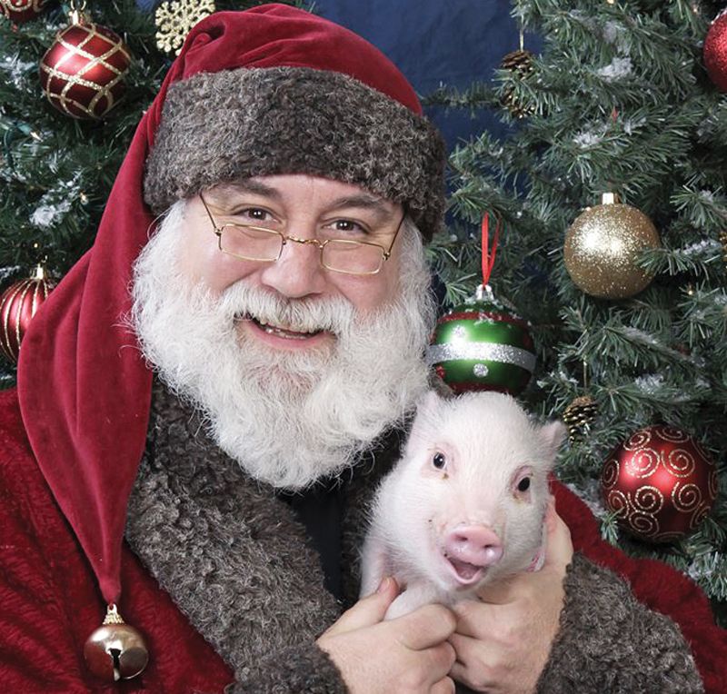 Santa poses with a small pig