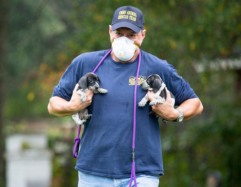 A man carries two puppies