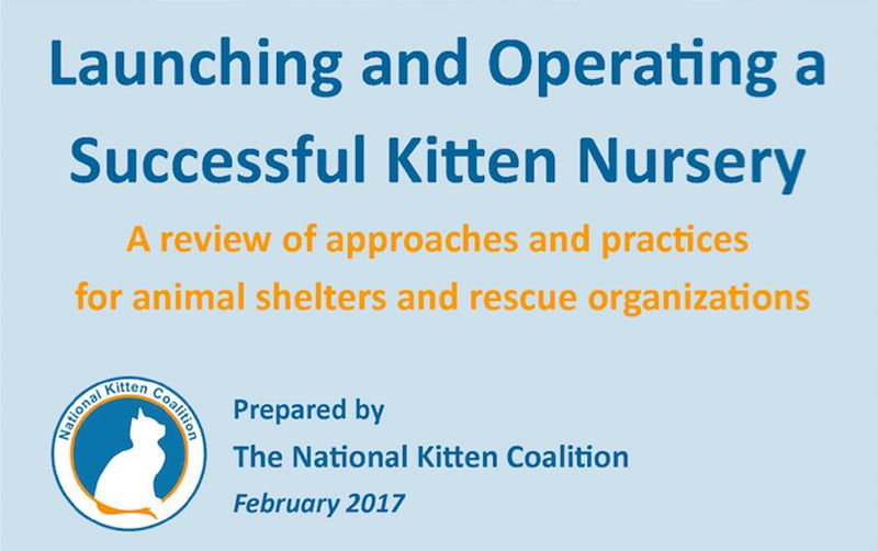 Launching and operating a successful kitten nursery manual cover