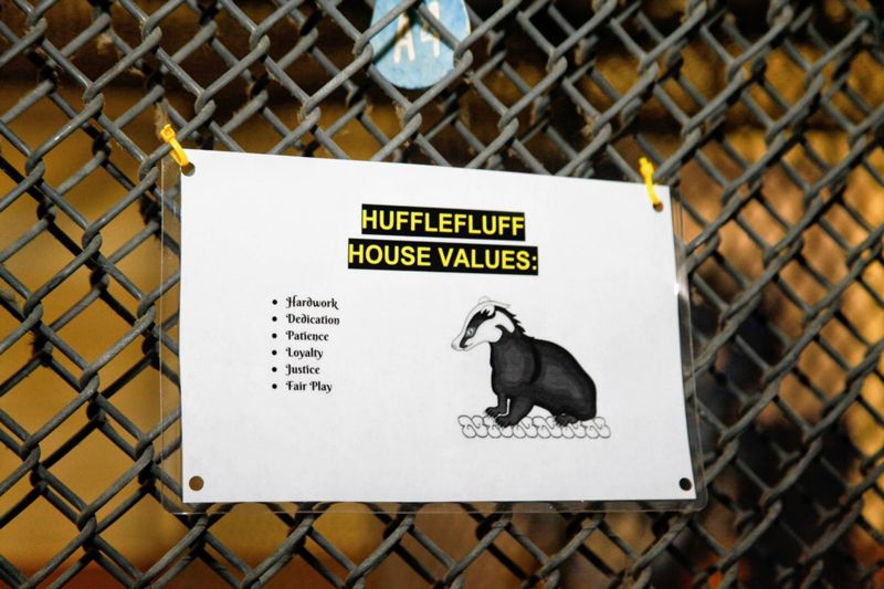 Hufflepuff house values are listed atop a kennel grate