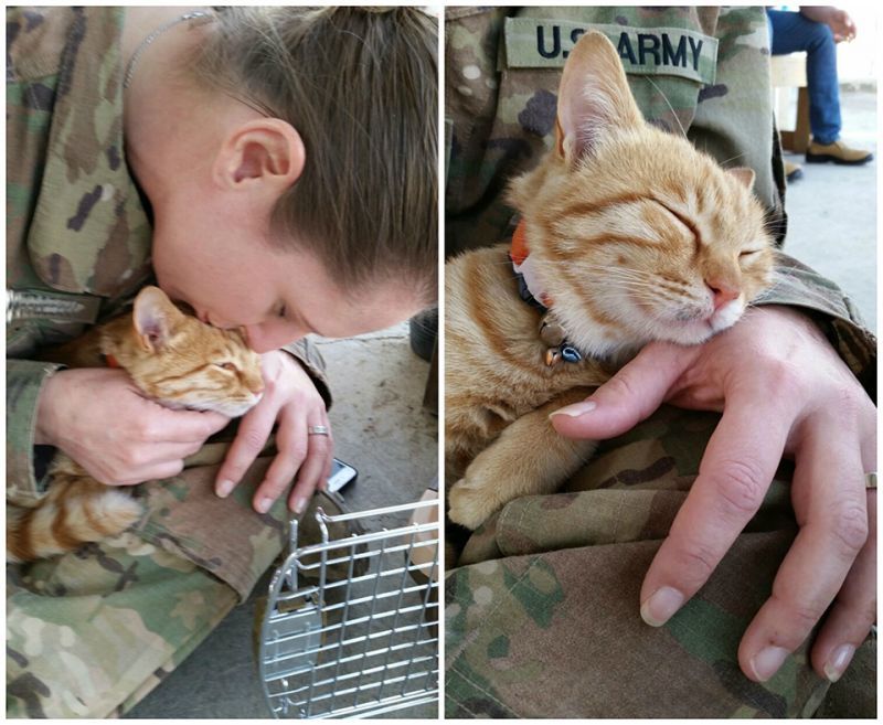 a female soldier in army fatigues snuggles her cat