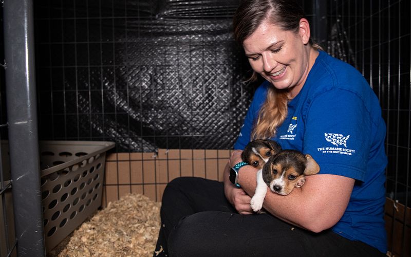 Animal Rescue Team member, Audra Houghton, sit in a kennel with two beagle puppies
