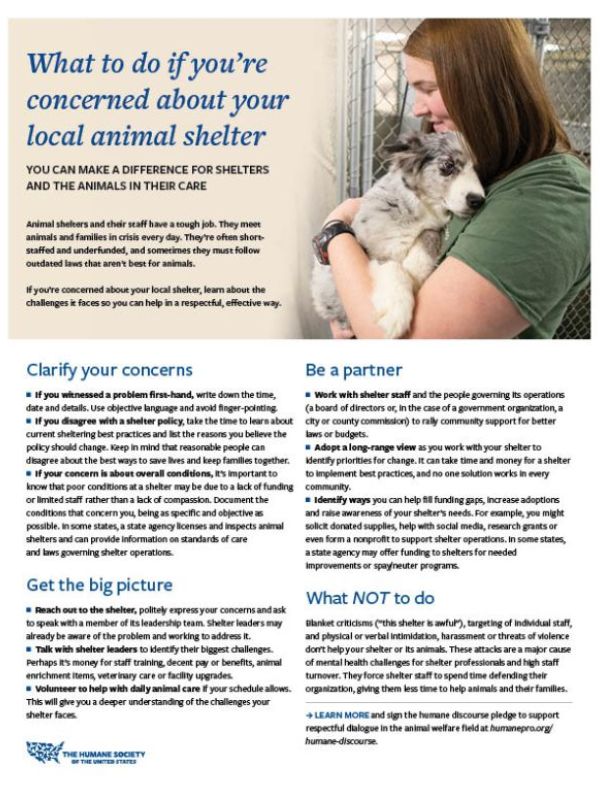 Shelter Concerns Fact Sheet