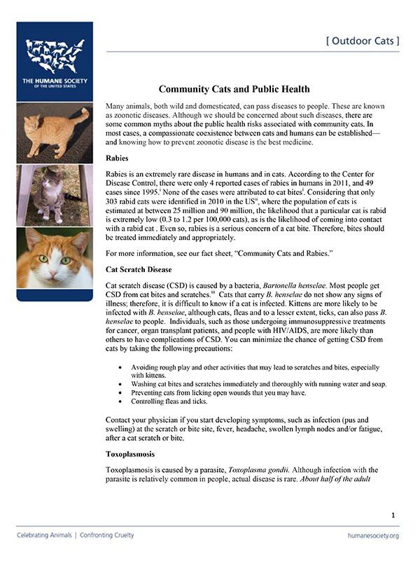 Community Cats and Public Health