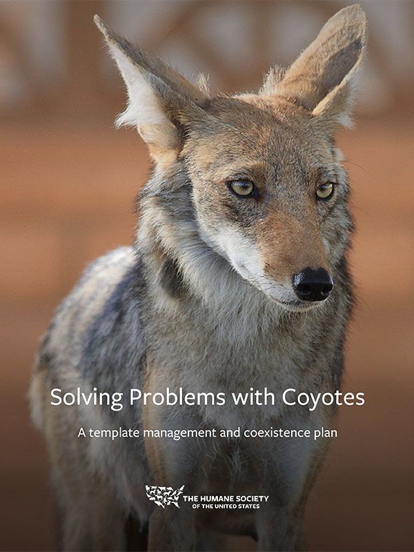 Template Coyote Management and Coexistence Plan