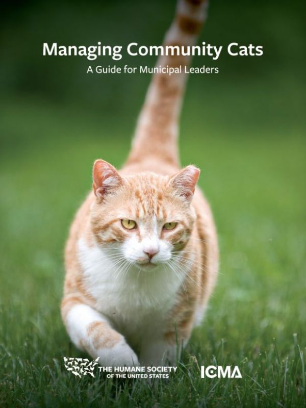 Managing Community Cats