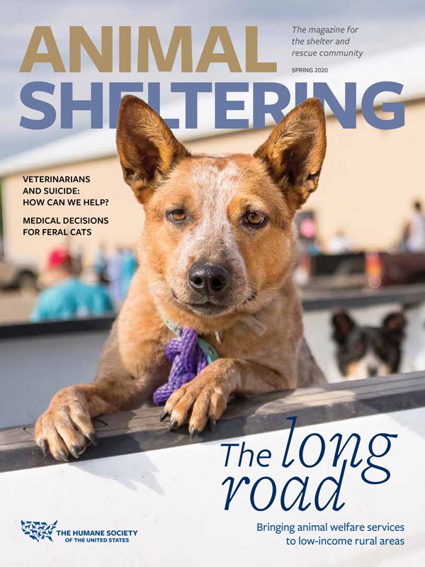 Animal Sheltering Magazine Spring 2020 Cover
