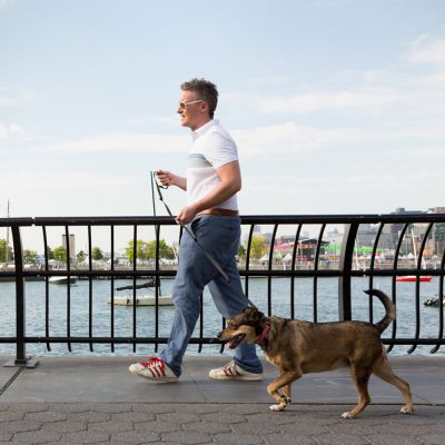 a man walking a dog along a bridge
