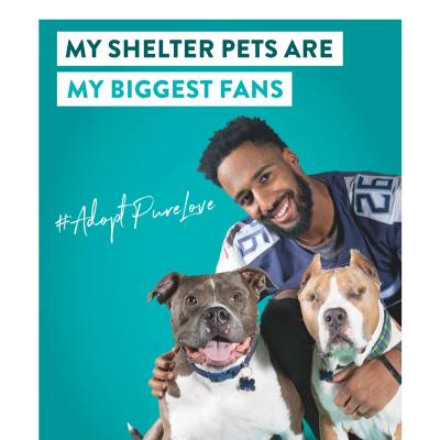 My shelter pets are my biggest fans
