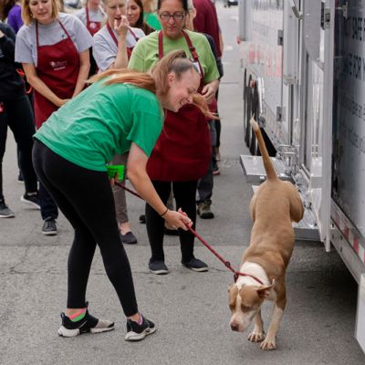 a woman helps a dog exist a transport vehicle