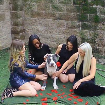 The ladies of Front Street Animal Shelter vie for handsome Colton’s affections