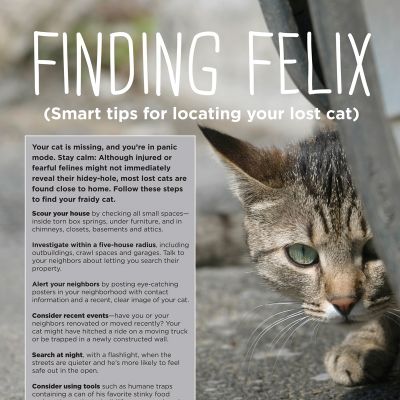 Finding Felix 