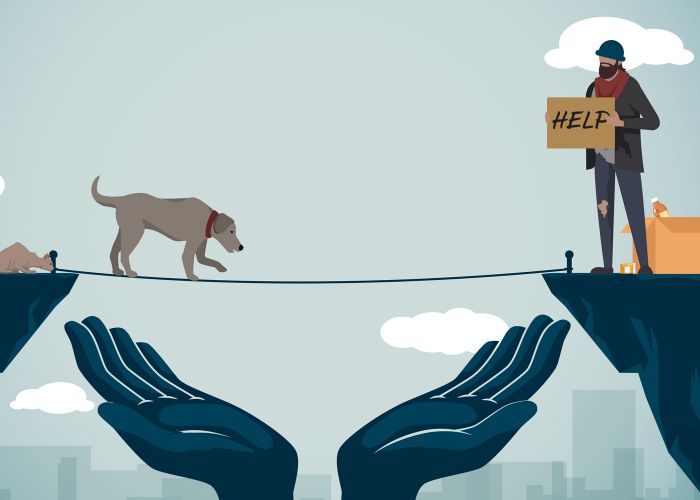 illustration of a dog and cat walking a tightrope to their homeless owner on the other side