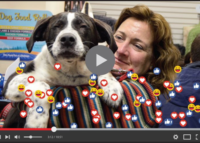 video player with social media icons overlaid on an image of a woman holding a dog