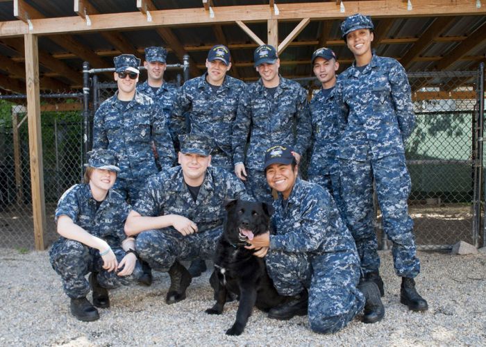 a group of men and women in military fatigues posing with a dog