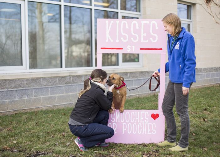 a woman greets a dog standing behind a $1 kisses sign