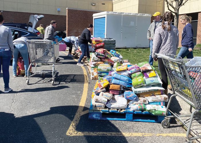 a group of people load shopping carts from a pallet of pet food